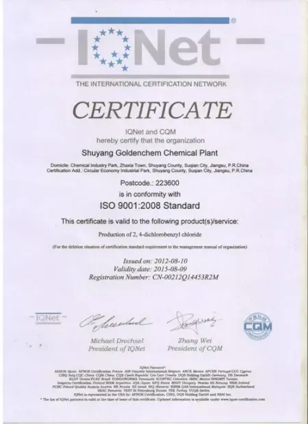 ISO9001(英文)