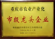荣誉证书