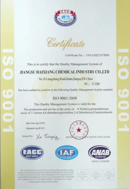 ISO9001(英文)