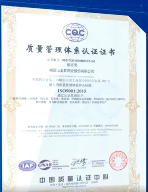 ISO9001(中文)