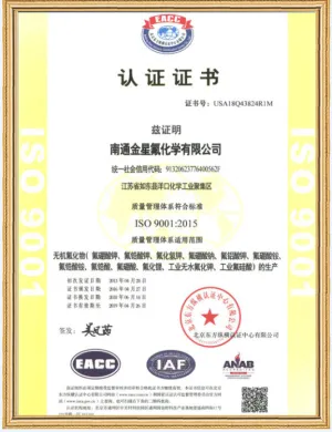 ISO9001(中文)