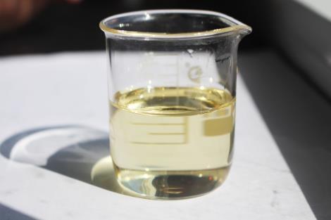 动物脂肪酸