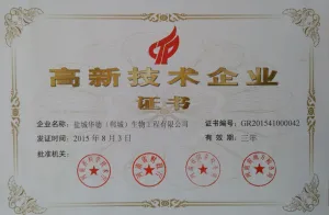 荣誉证书