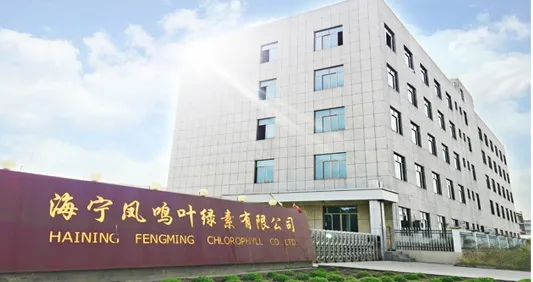 厂房大门