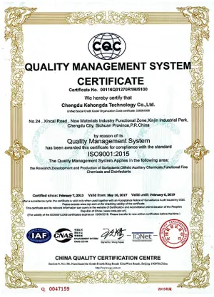 ISO9001(英文)