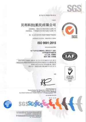 ISO9001(中文)