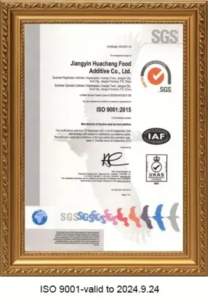 ISO9001(英文)