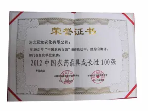 荣誉证书