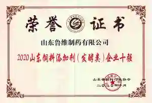 荣誉证书