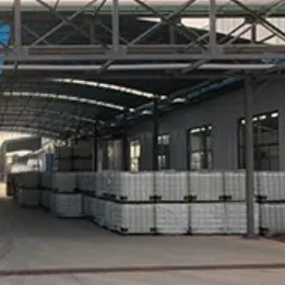 氯化胆碱/氯化胆素溶液