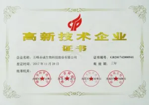 荣誉证书