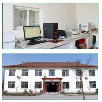 办公区域