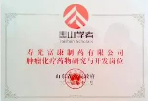 荣誉证书