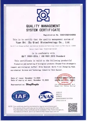 ISO9001(英文)