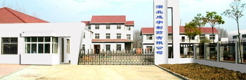 厂房大门