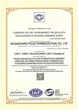 ISO9001(英文)