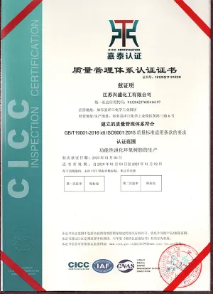 ISO9001(中文)