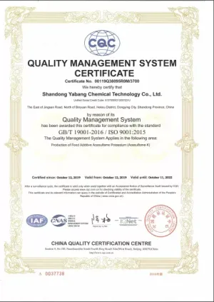 ISO9001(英文)