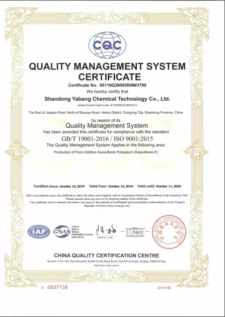 ISO9001(英文)