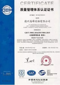 ISO9001(中文)