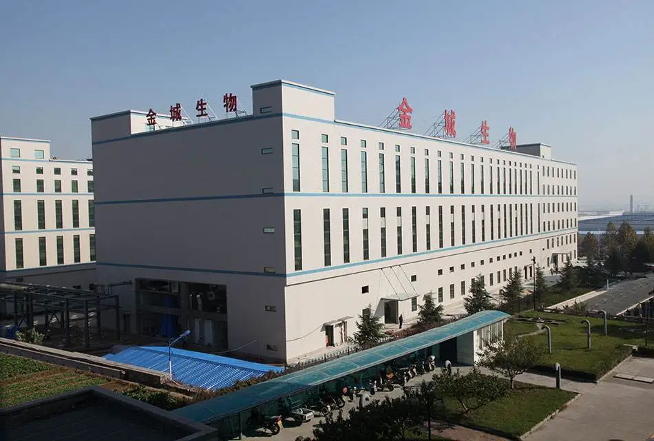 办公区域