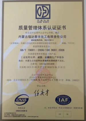 ISO9001(中文)