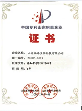 荣誉证书