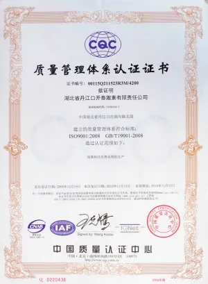 ISO9001(中文)