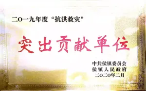 荣誉证书