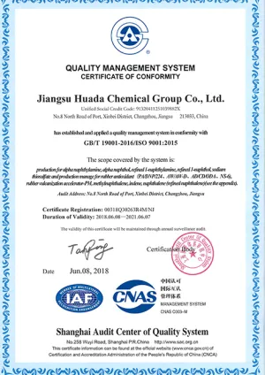 ISO9001(英文)