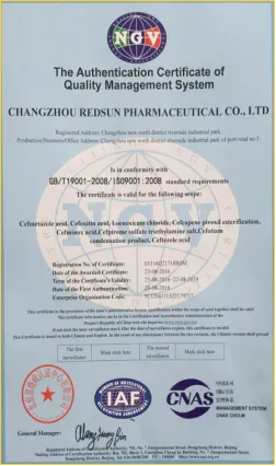 ISO9001(英文)