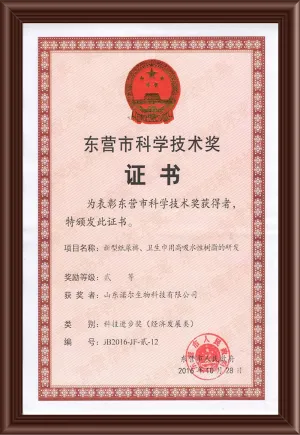 荣誉证书