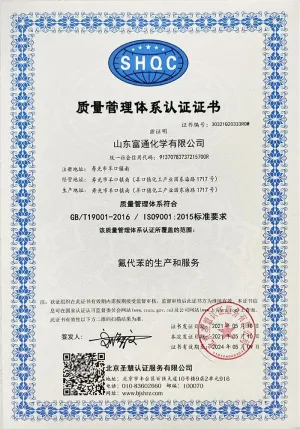 ISO9001(中文)