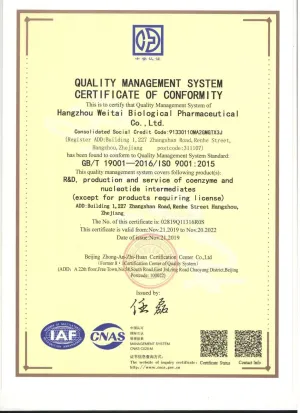 ISO9001(英文)