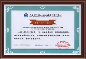 荣誉证书