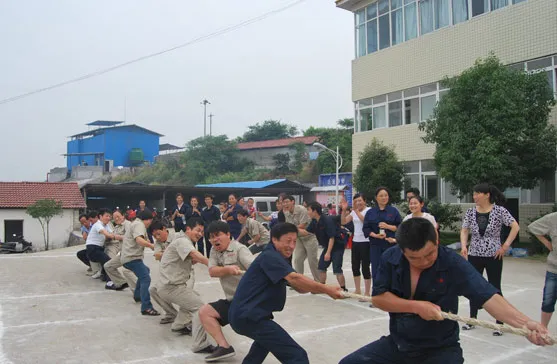公司活动