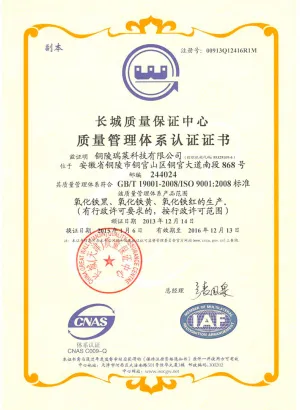 ISO9001(中文)