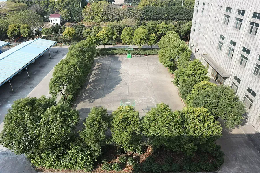 其他图片