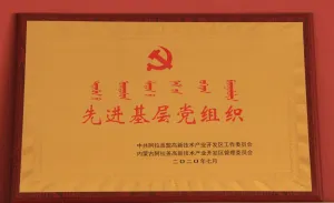 荣誉证书