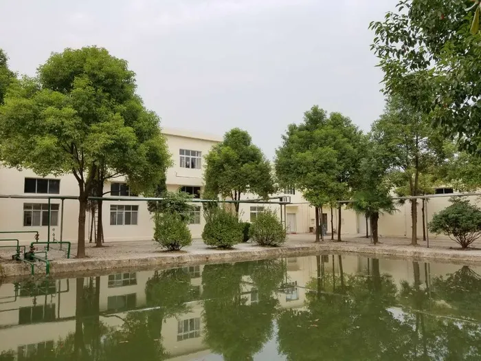 其他图片