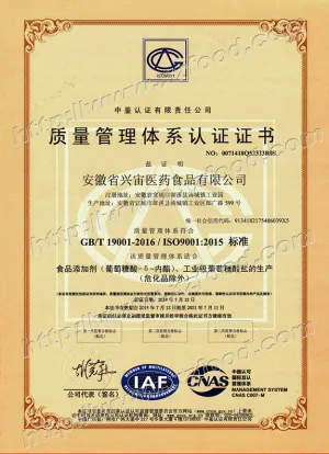 ISO9001(中文)