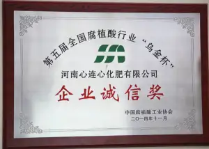 荣誉证书
