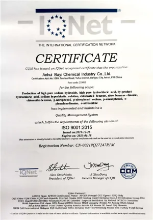 ISO9001(英文)