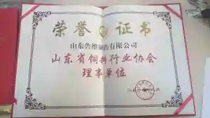 荣誉证书