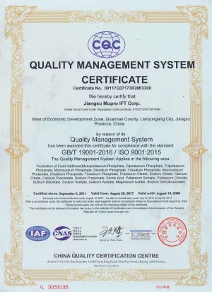 ISO16949