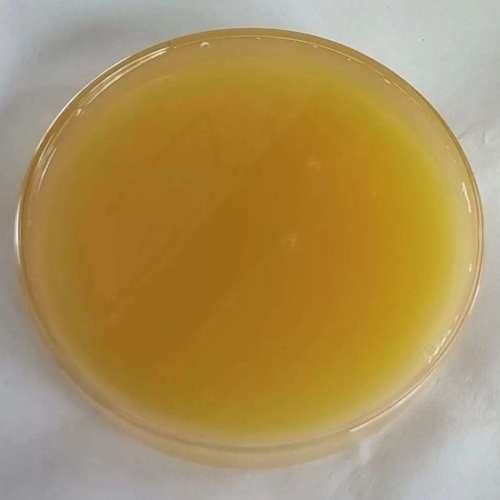 鼠李糖脂