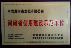 荣誉证书