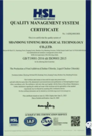 ISO9001(英文)