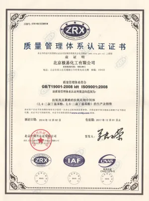 ISO9001(中文)