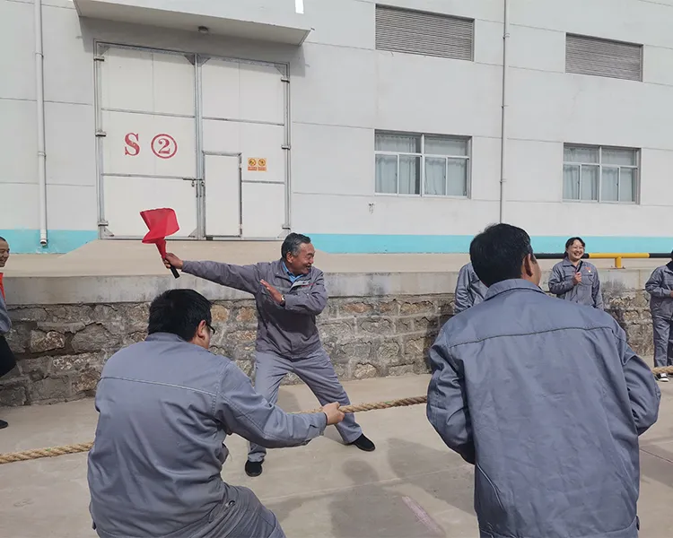 公司活动